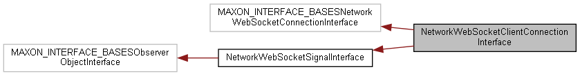 NetworkWebSocketClientConnectionInterface Class Reference : Cinema 4D ...
