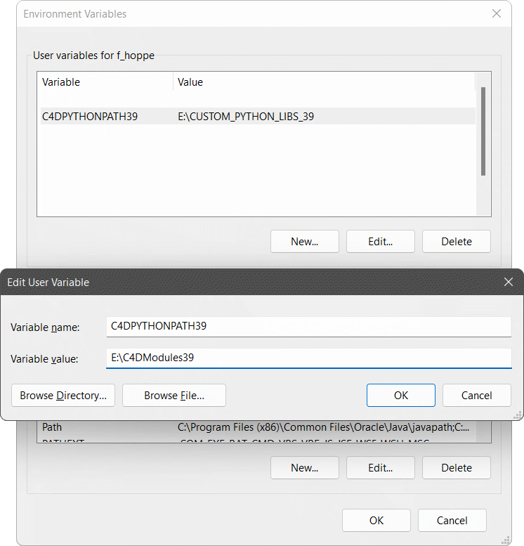 ../_images/manual_external_libraries_python_environment_variable.gif