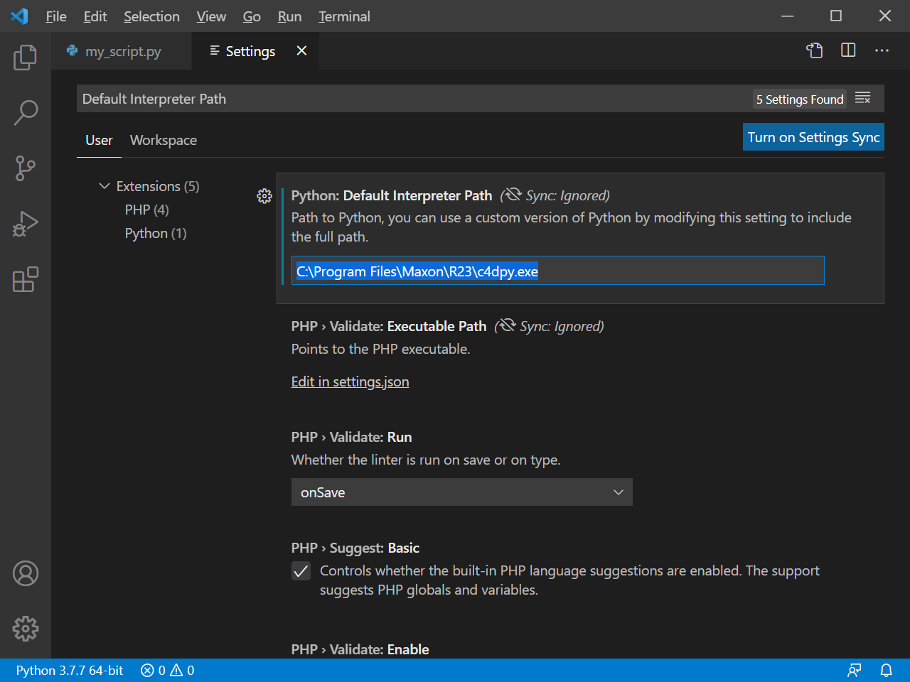 ../_images/manual_standalone_interpreter_vscode_setup_1.png