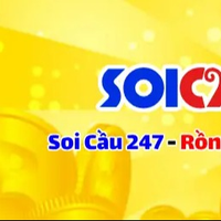 soi_cau_mb_247