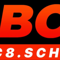 abc8schule1