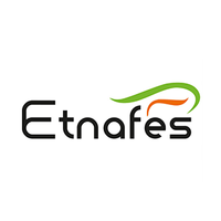 Etnafes