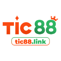 tic88link