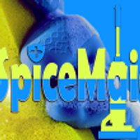 spicemaidcare